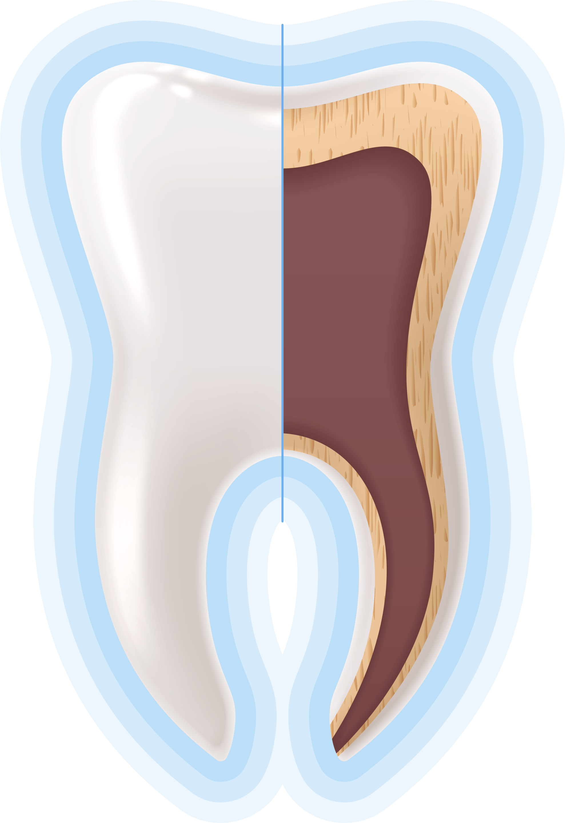 Saúde Oral: como são constituídos os dentes?